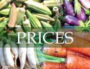 Food and Crop Prices